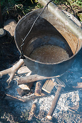 Image showing Cooking over a campfire