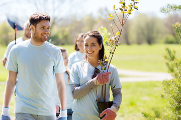 Image showing group of volunteers with trees and rake in park