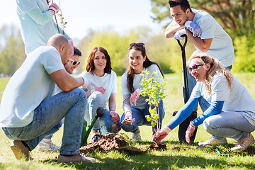 Image showing group of volunteers planting tree in park