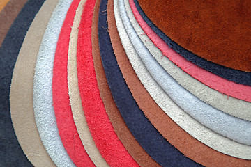 Image showing Leather Color
