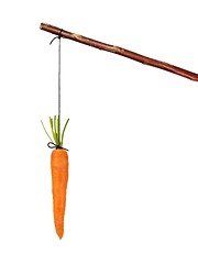 Image showing Stick and carrot