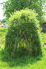 Image showing wicker house from green plants