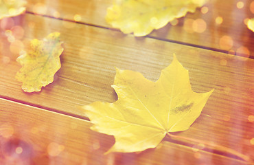 Image showing close up of many different fallen autumn leaves