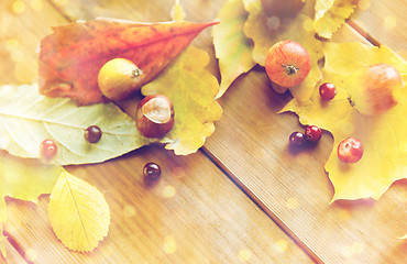 Image showing close up of autumn leaves, fruits and berries