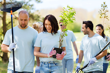 Image showing group of volunteers with trees and rake in park