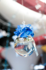 Image showing Blue flowers suspended in a glass bowl