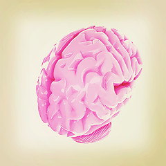 Image showing Human brain. 3D illustration. Vintage style.