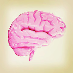 Image showing Human brain. 3D illustration. Vintage style.