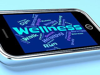 Image showing Wellness Words Indicates Health Check And Healthcare