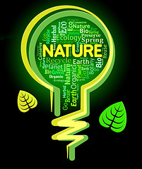 Image showing Nature Words Shows Light Bulb And Environment