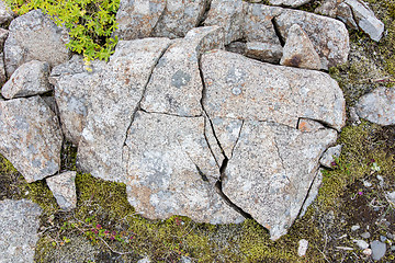 Image showing Frost leaves Destructive Patterns in a Stone