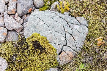 Image showing Frost leaves Destructive Patterns in a Stone