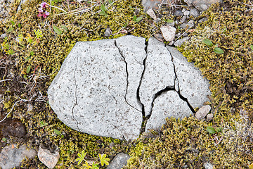 Image showing Frost leaves Destructive Patterns in a Stone