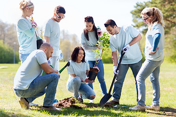 Image showing group of volunteers planting tree in park