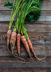 Image showing Bunch of orange carrots fresh with dirt on old rustic wood background