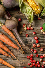 Image showing Autumn vegetables and cranberry