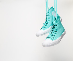 Image showing Pair of shoes loose over white background