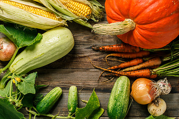 Image showing Autumn harvest vegetables