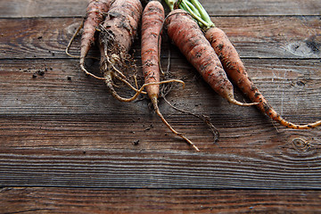 Image showing raw carrots on the ground