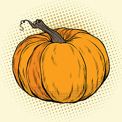 Image showing Ripe pumpkin, Thanksgiving or Halloween