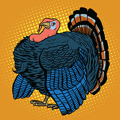 Image showing Poultry Turkey, realistic vector illustration