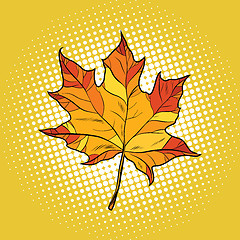 Image showing Red maple leaf in autumn