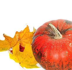 Image showing Red ripe pumpkin with autumn leaves
