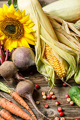 Image showing Autumn vegetables harvest