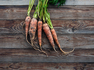 Image showing Bunch of orange carrots fresh with dirt on old rustic wood background