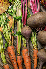 Image showing Carrots and beets with their stems