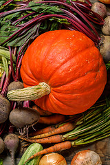 Image showing Orange pumpkin with other veggies