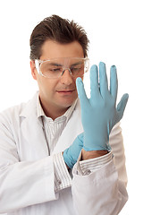 Image showing Doctor or scientist putting on nitrile safety gloves