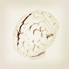 Image showing Metall human brain. 3D illustration. Vintage style.