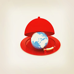 Image showing Earth globe on glossy silver dish under food cover. 3D illustrat