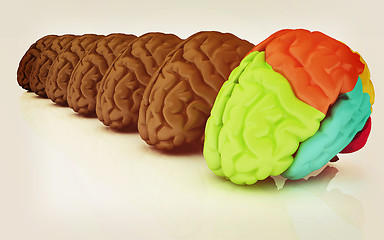 Image showing Human brains. 3D illustration. Vintage style.