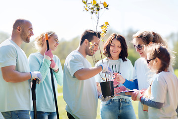 Image showing group of volunteers planting trees in park