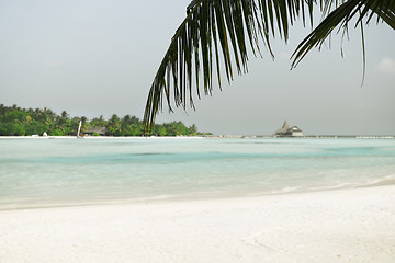 Image showing maldives island beach with palm tree and villa