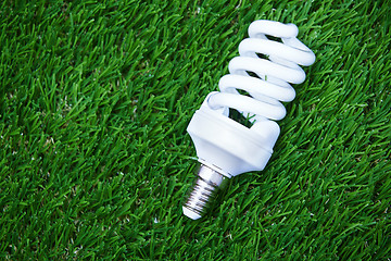 Image showing Energy saving bulb in the grass