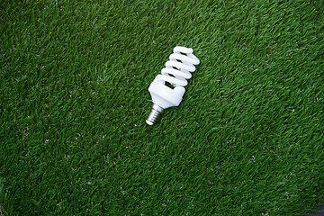 Image showing Energy saving bulb in the grass