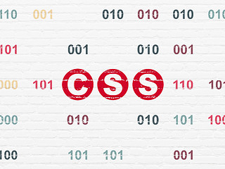 Image showing Software concept: Css on wall background