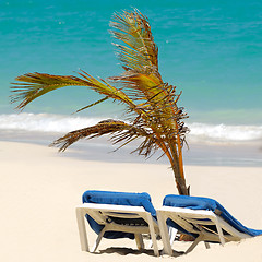 Image showing Sun lounger and palm at exotic beach