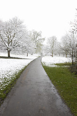 Image showing Winter path