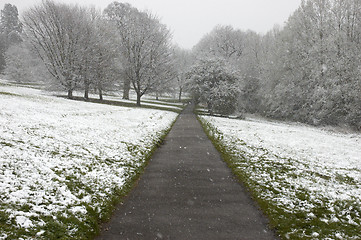 Image showing Winter path