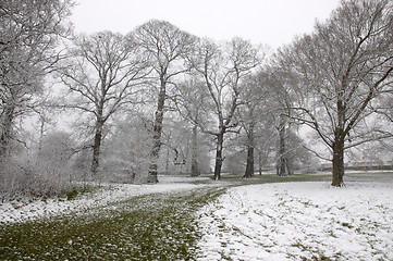 Image showing Winter path