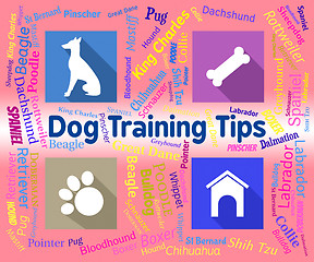 Image showing Dog Training Tips Means Coaching Instruction And Pets