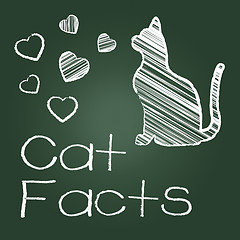 Image showing Cat Facts Means Details Info And Pets