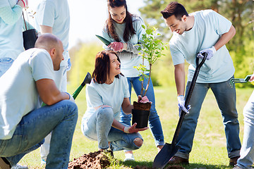 Image showing group of volunteers planting tree in park