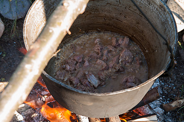 Image showing Cooking over a campfire