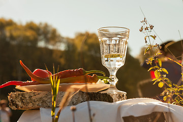 Image showing Russian vodka in small glass