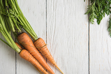 Image showing Freshly grown carrots